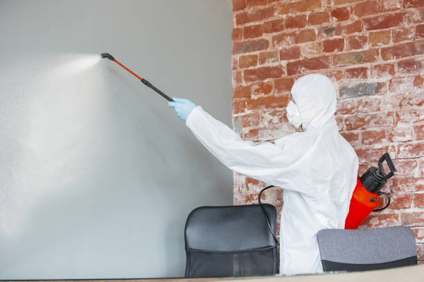 Best Comprehensive Air Testing for Mold Contaminants  in Cold Spring, MN