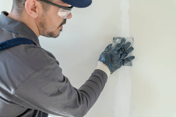 Best Crawl Space Mold Remediation  in Cold Spring, MN