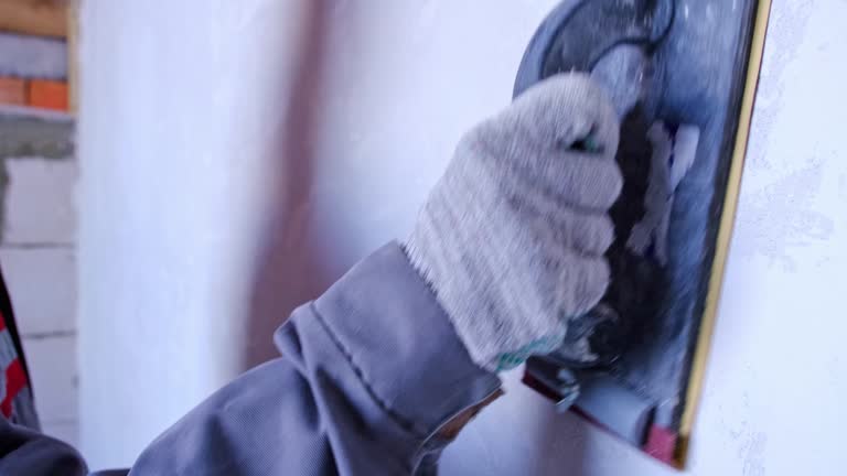 Best Attic Mold Removal  in Cold Spring, MN