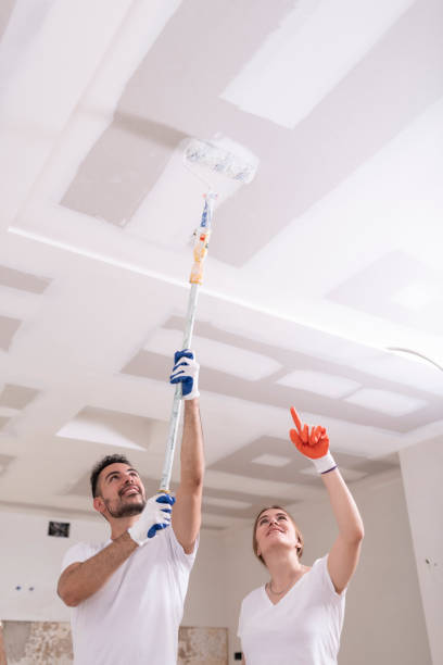 Best Residential Mold Inspection & Testing  in Cold Spring, MN