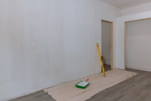 Best Commercial Mold Inspection  in Cold Spring, MN