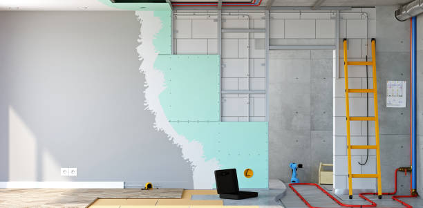 Best Black Mold Removal  in Cold Spring, MN