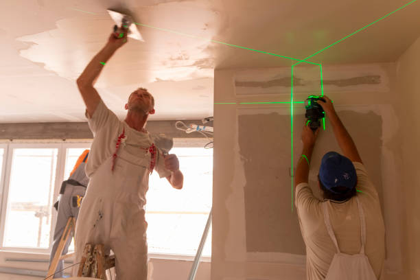  Cold Spring, MN Mold Removal Pros
