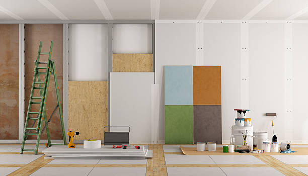 Best Mold Damage Restoration  in Cold Spring, MN