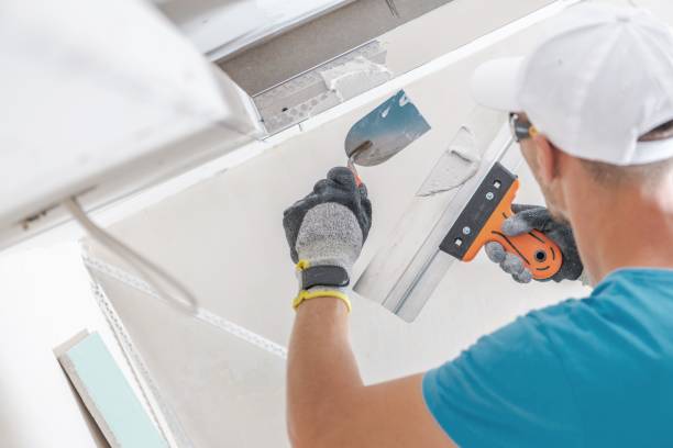 Best Water Damage & Mold Remediation  in Cold Spring, MN